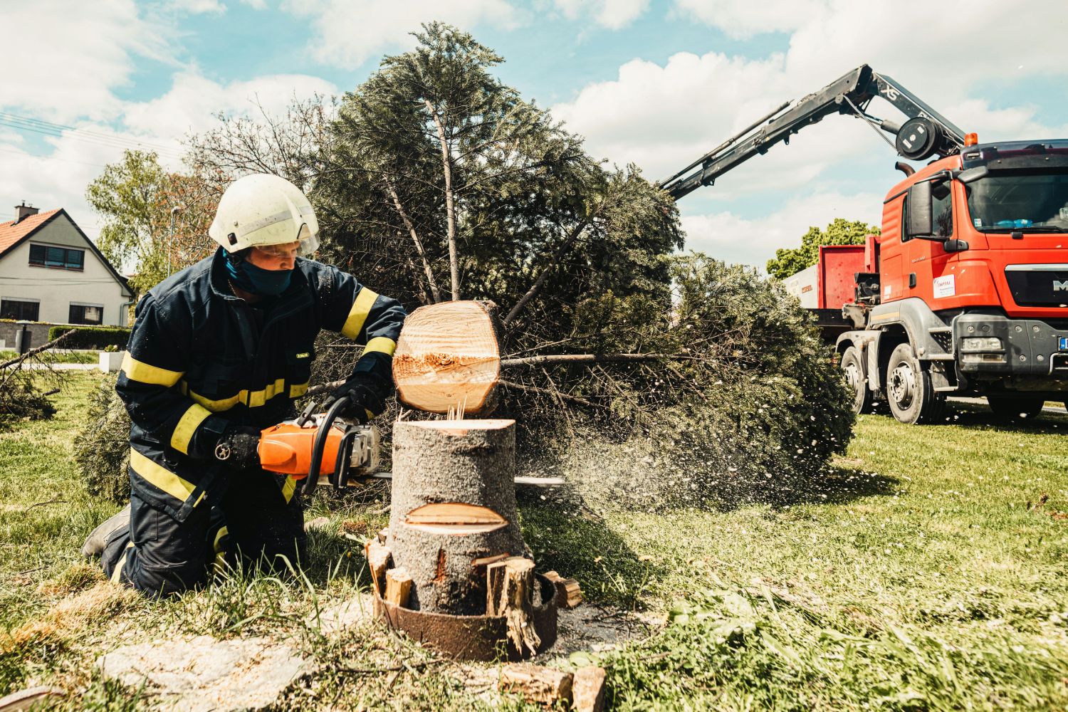 Tree Removal by Swift Tree & Landscape on the Treasure Coast