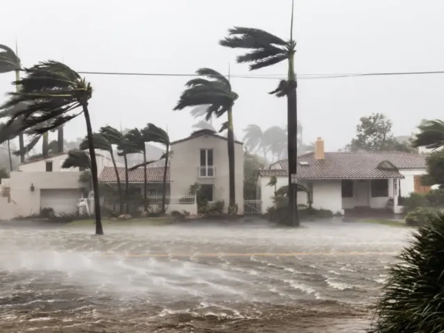 Hurricane Prep by Swift Tree & Landscape on the Treasure Coast