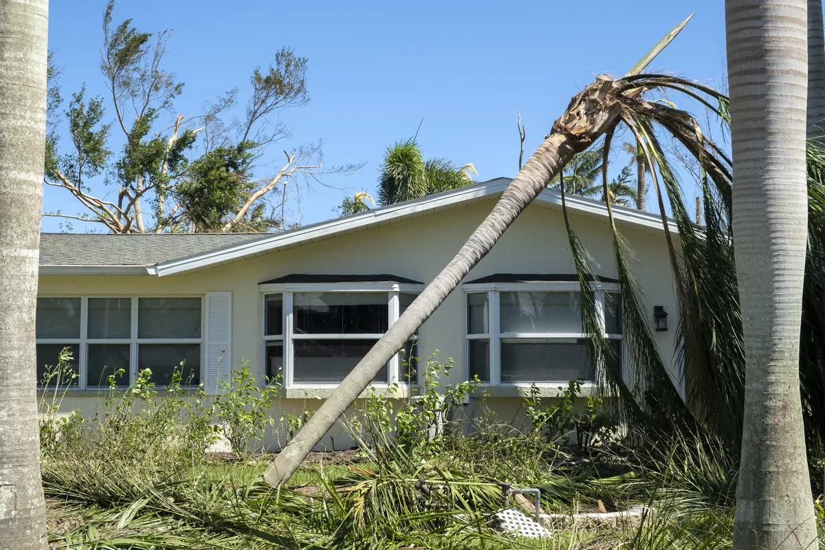 Palm tree fallen across the roof of a single-storey Florida house after a hurricane
