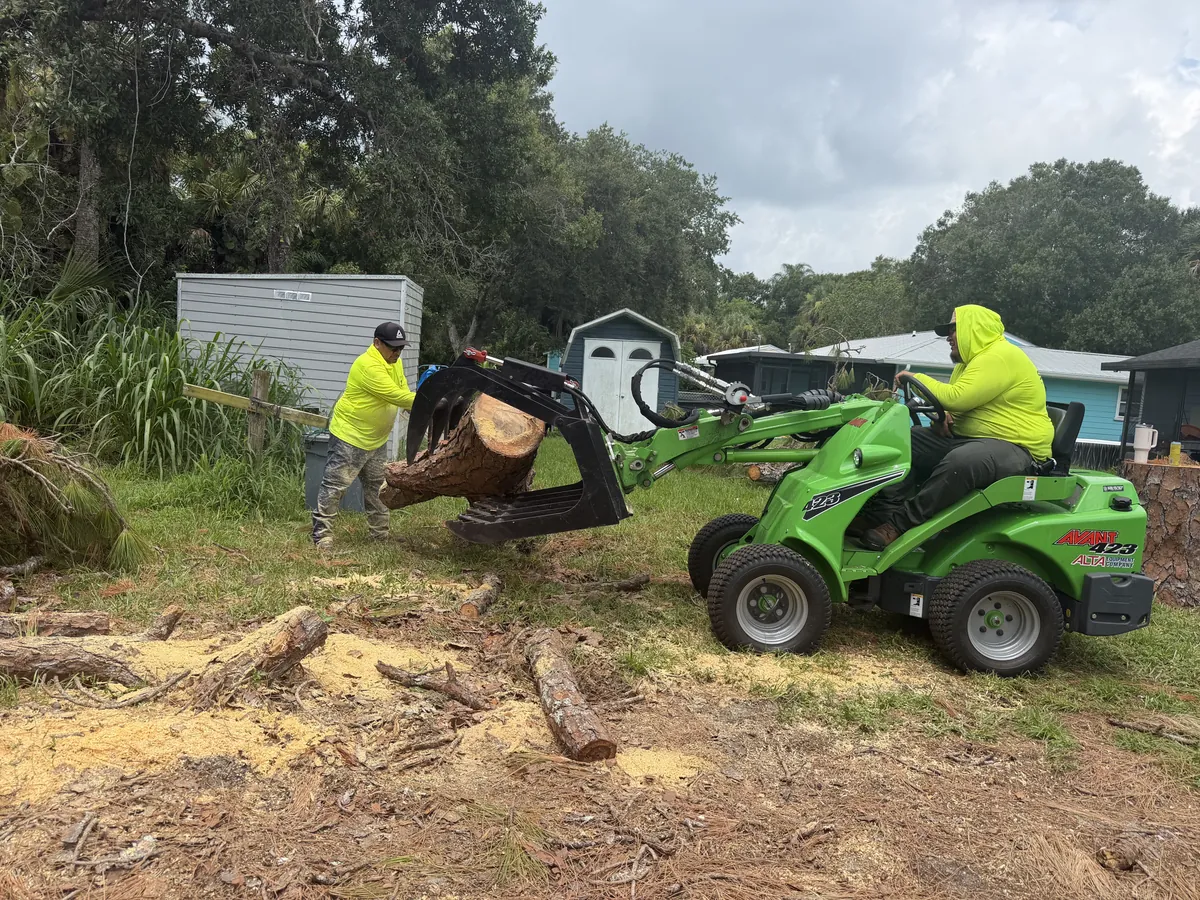 Swift crew moving a cut log with a compact loader during tree service in Fellsmere, FL