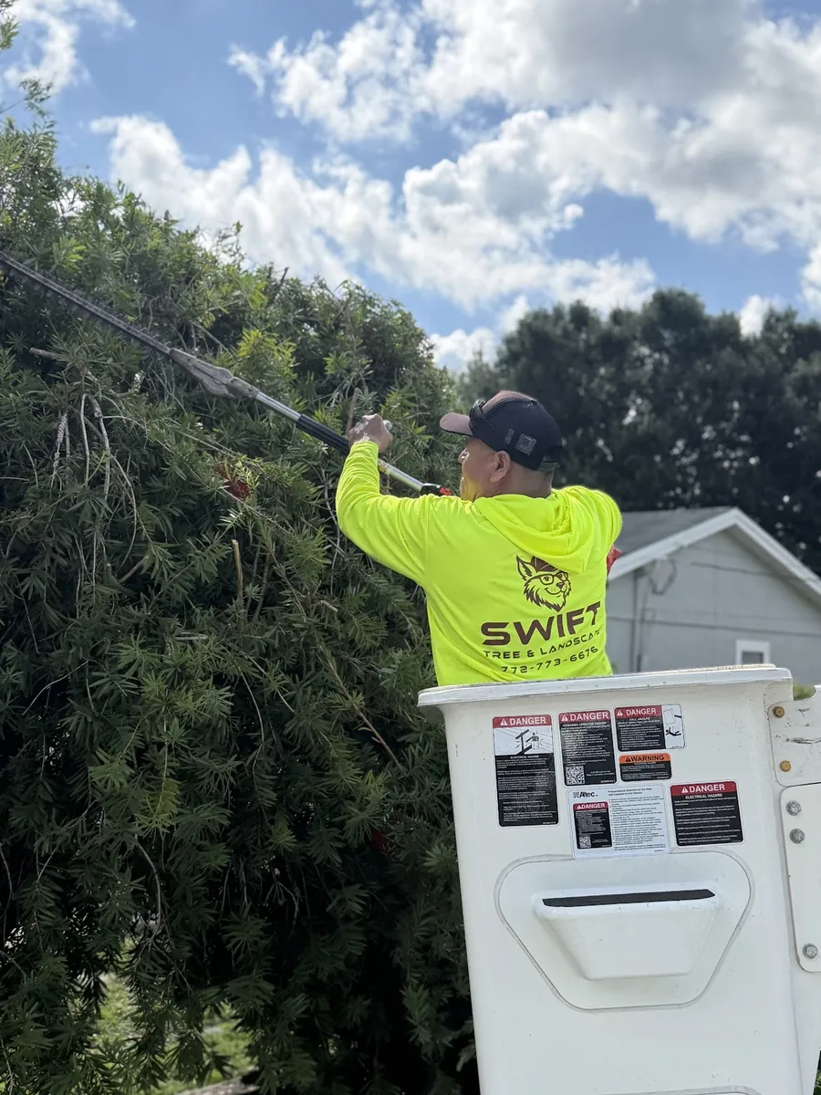 Swift crew member trimming a tree from a bucket truck, tree service in Florida Ridge, FL