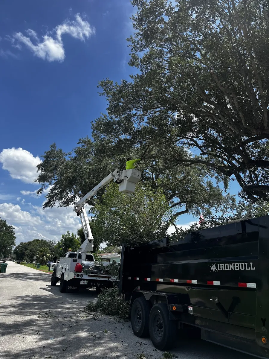 Swift crew member pruning a live oak from a bucket truck during a tree service job in Winter Beach, FL